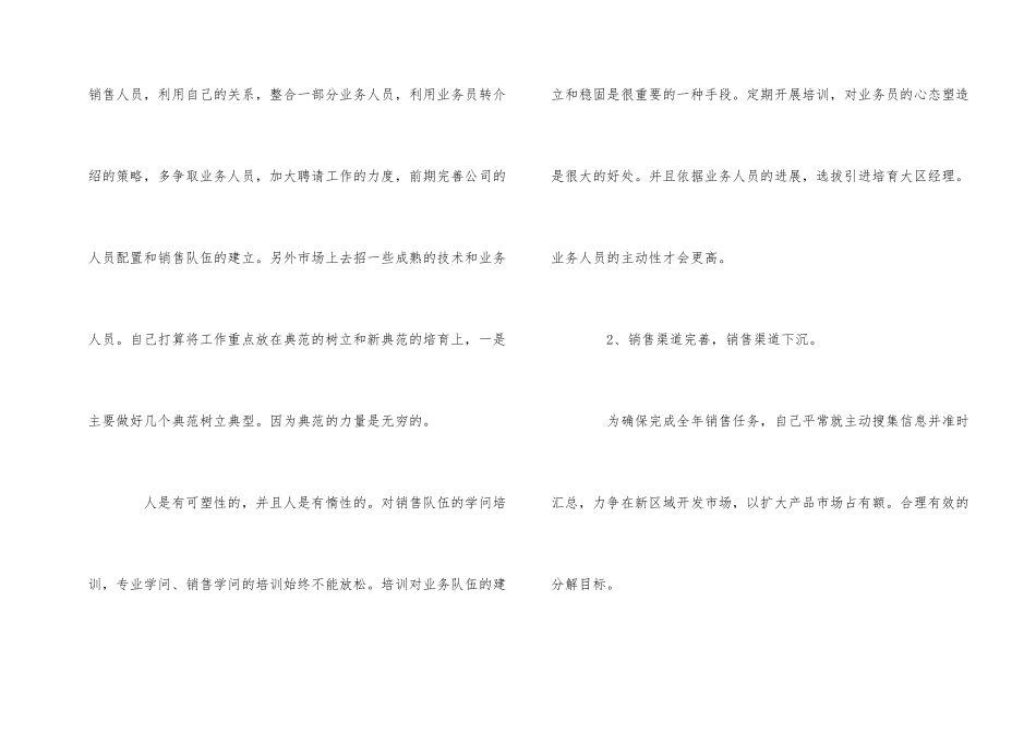 公司业务员销售个人工作计划_第2页
