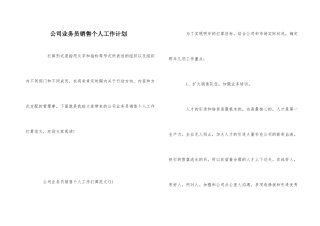 公司业务员销售个人工作计划