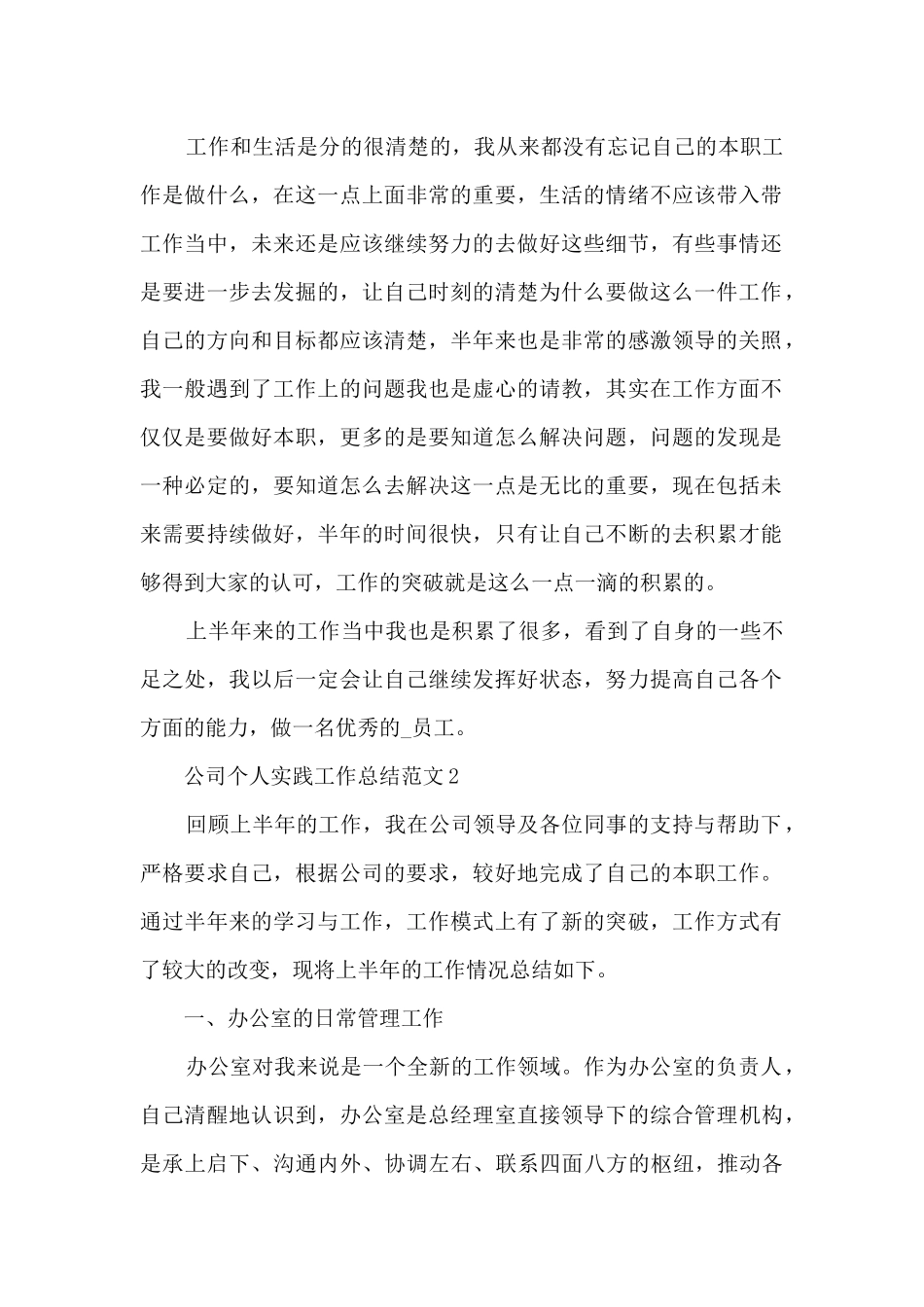 公司个人实践工作总结范文2024_第2页