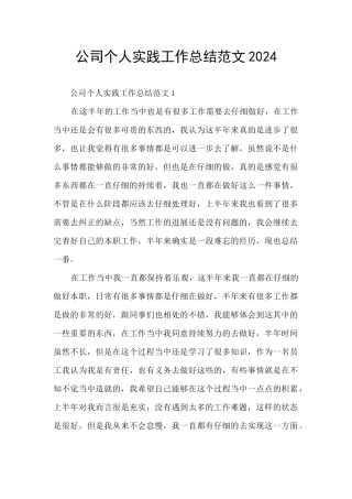 公司个人实践工作总结范文2024