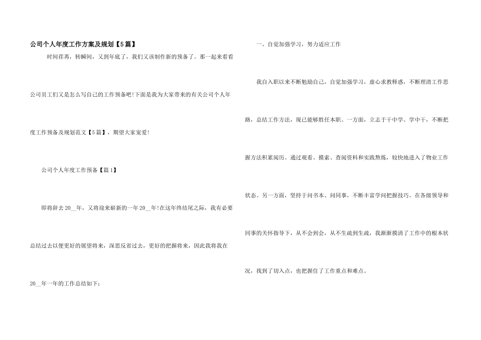 公司个人年度工作计划及规划_第1页