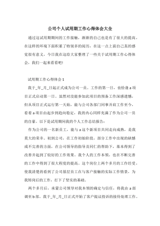 公司个人试用期工作心得体会大全
