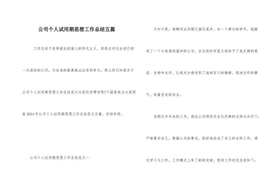 公司个人试用期思想工作总结五篇_第1页