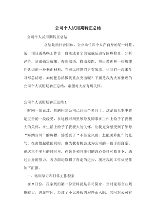 公司个人试用期转正总结