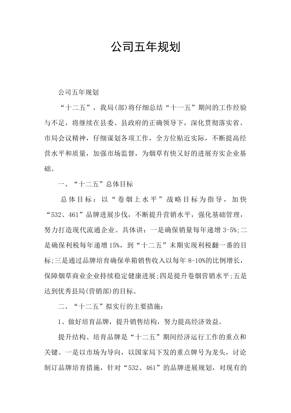 公司五年规划_第1页