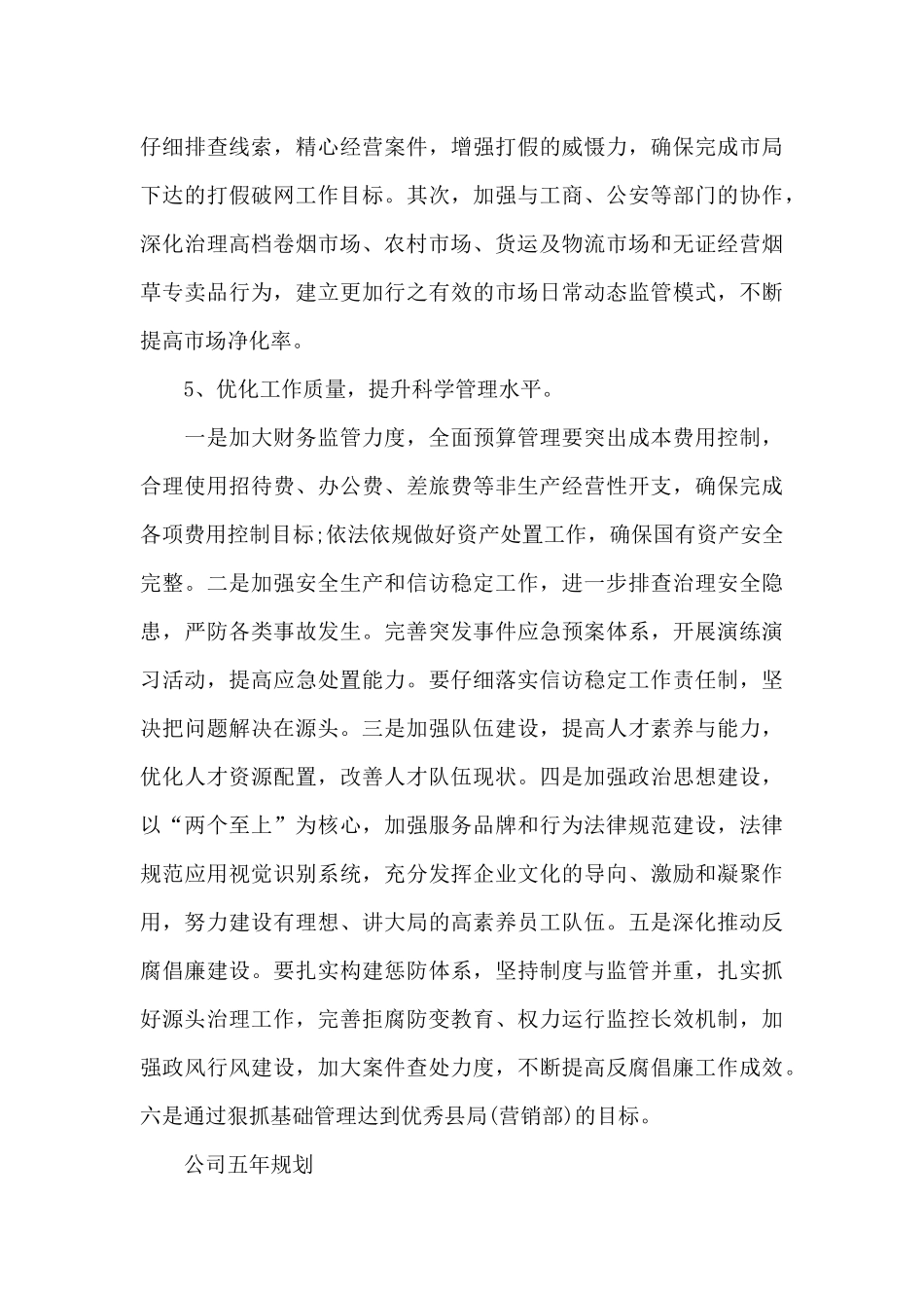 公司五年规划_第3页