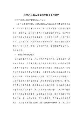 公司产品部人员试用期转正工作总结