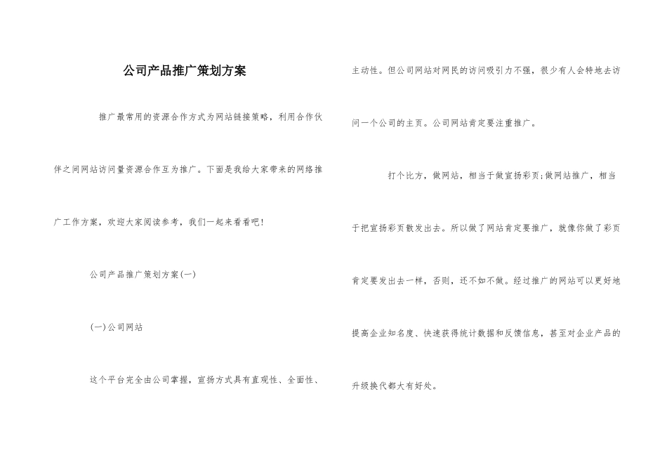 公司产品推广策划方案_第1页