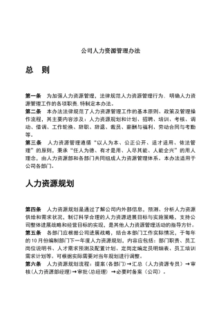 公司人力资源管理办法