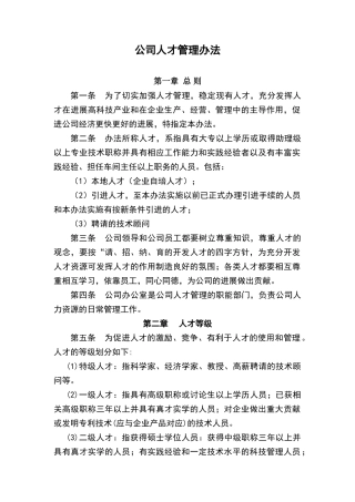公司人才管理办法