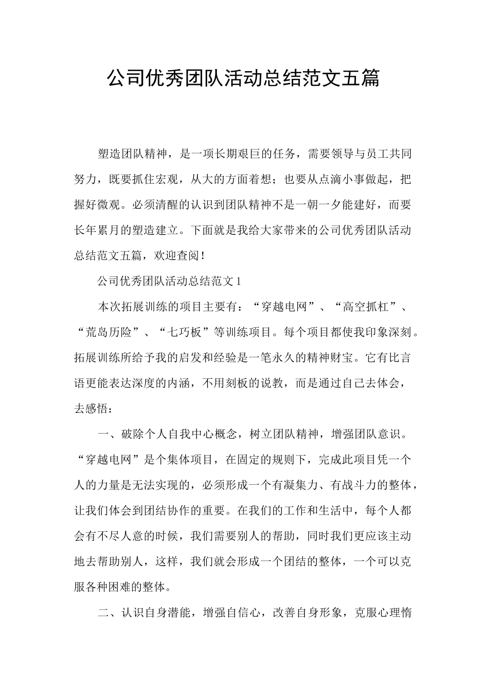 公司优秀团队活动总结范文五篇_第1页