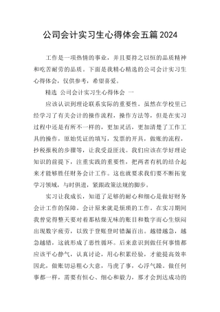 公司会计实习生心得体会五篇2024