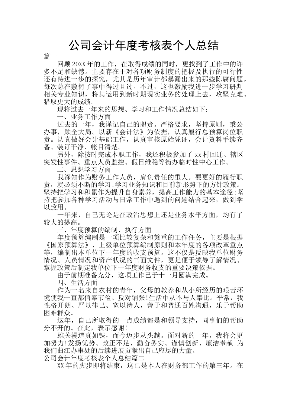 公司会计年度考核表个人总结_第1页