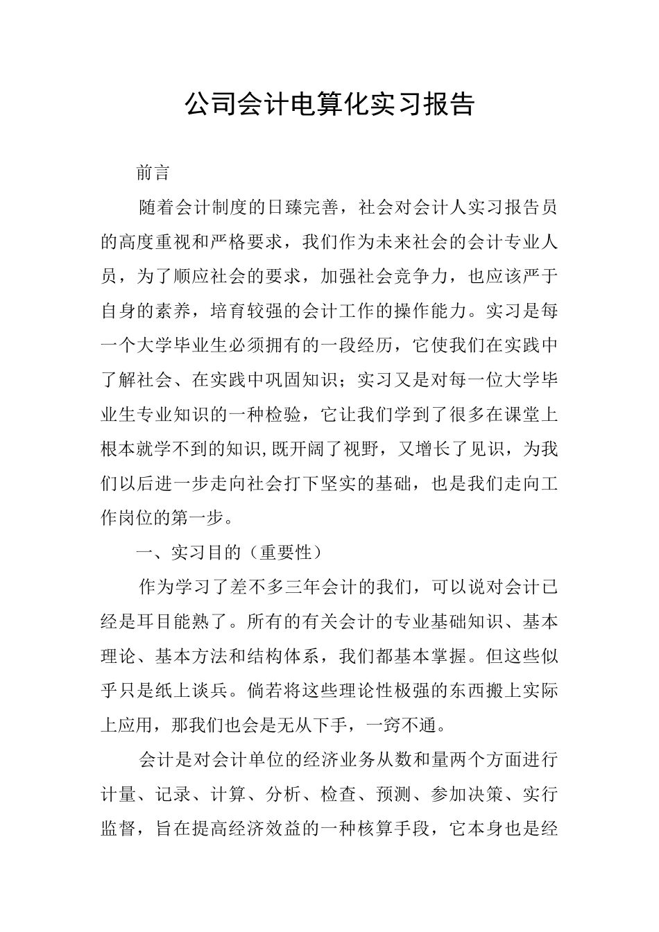 公司会计电算化实习报告_第1页