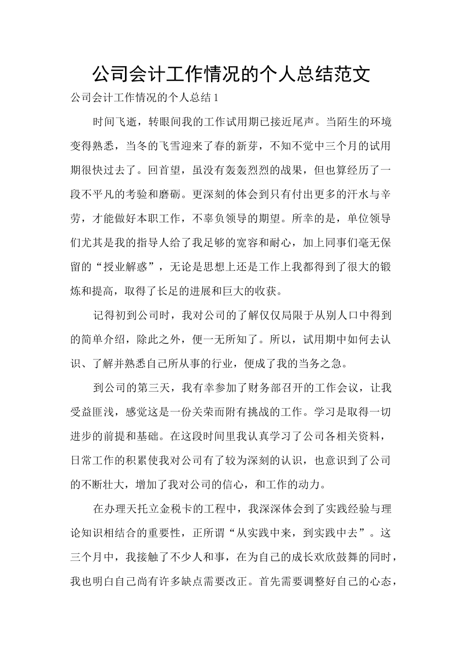 公司会计工作情况的个人总结范文_第1页