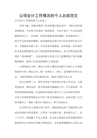 公司会计工作情况的个人总结范文