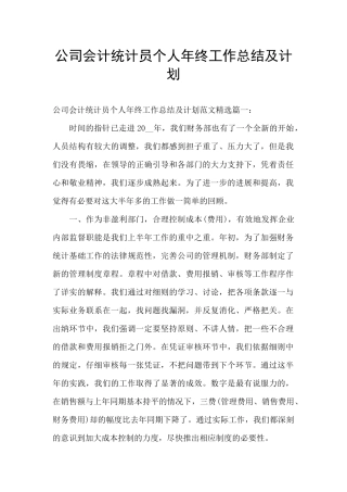 公司会计统计员个人年终工作总结及计划