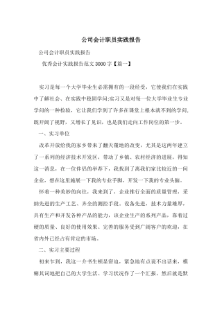 公司会计职员实践报告