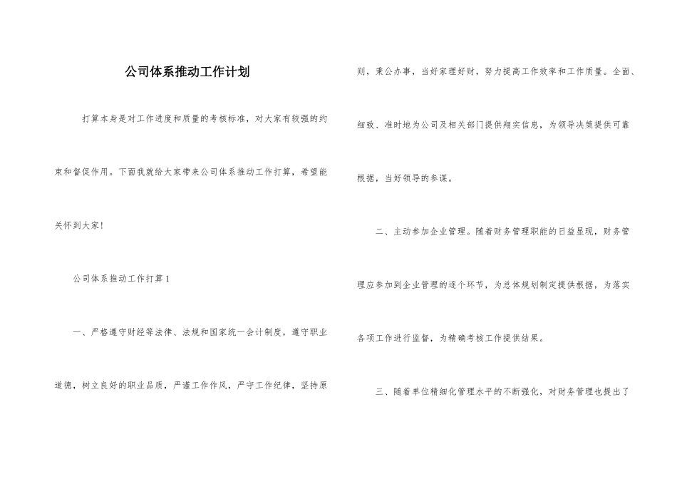 公司体系推进工作计划_第1页