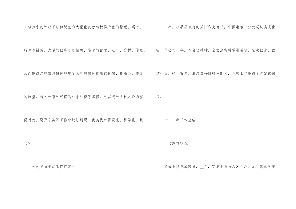公司体系推进工作计划_第3页