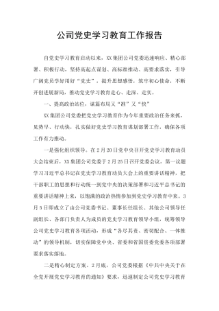 公司党史学习教育工作报告