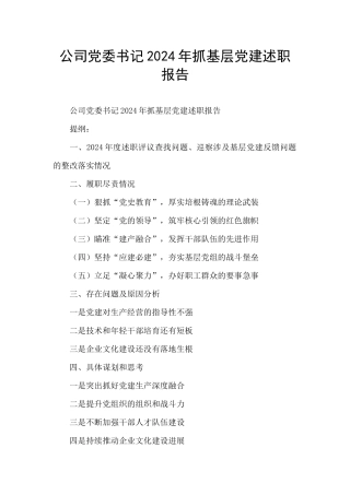 公司党委书记2024年抓基层党建述职报告