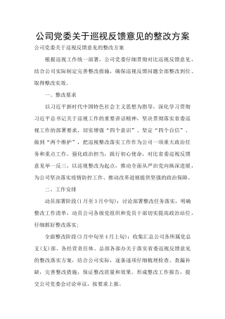 公司党委关于巡视反馈意见的整改方案