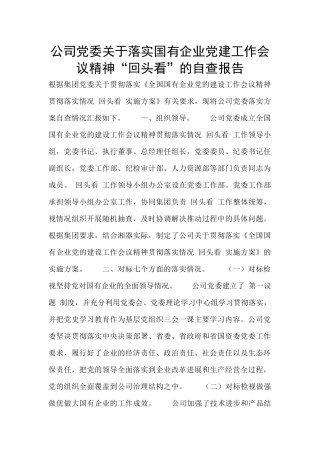公司党委关于落实国有企业党建工作会议精神“回头看”的自查报告