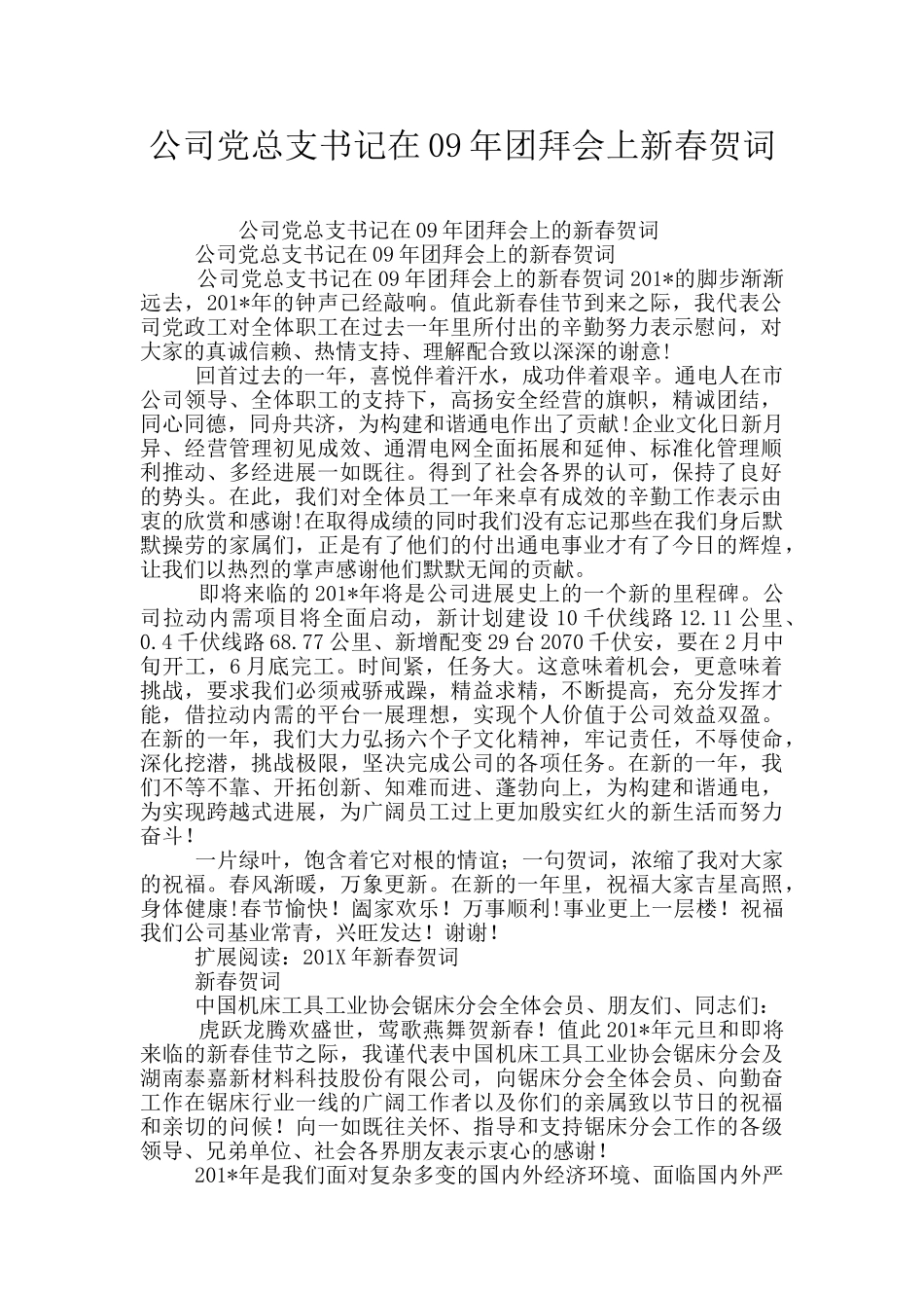 公司党总支书记在09年团拜会上新春贺词_第1页