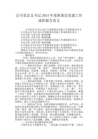公司党总支书记2024年度抓基层党建工作述职报告范文