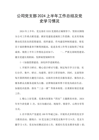 公司党支部2024上半年工作总结及党史学习情况