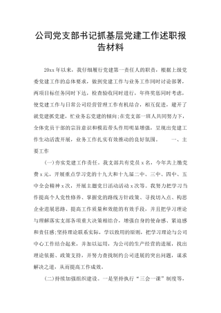 公司党支部书记抓基层党建工作述职报告材料