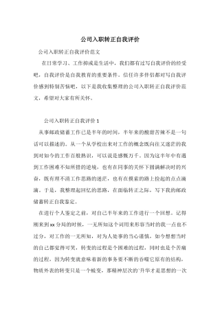 公司入职转正自我评价