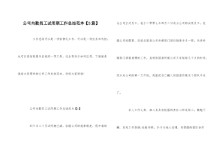 公司内勤员工试用期工作总结范本