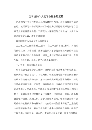 公司出纳个人实习心得总结五篇