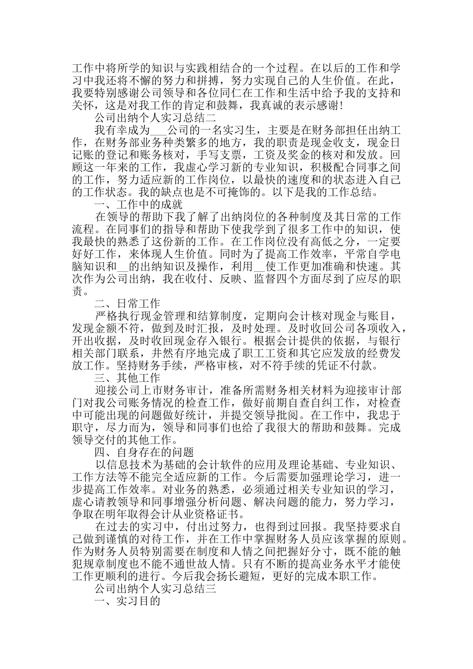 公司出纳个人实习总结范文_第2页