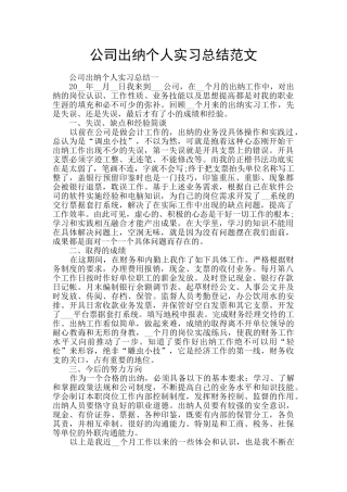 公司出纳个人实习总结范文