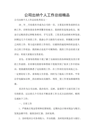 公司出纳个人工作总结精品