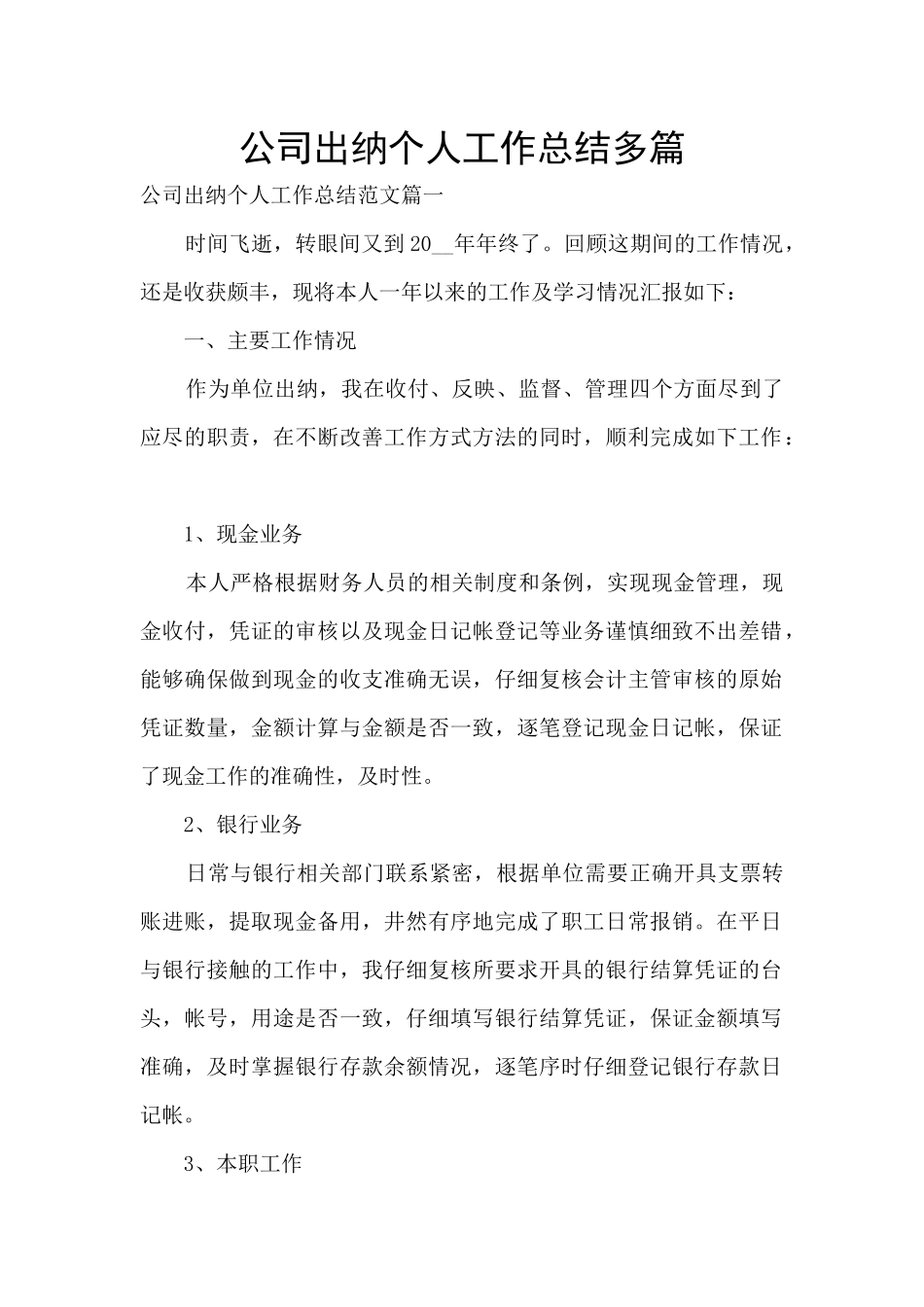 公司出纳个人工作总结多篇_第1页