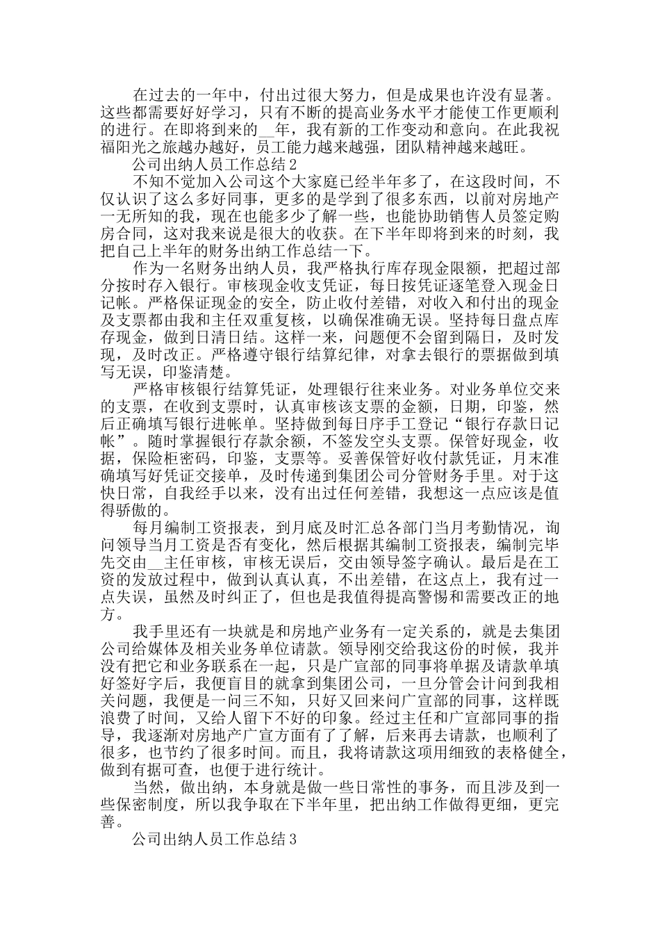 公司出纳人员工作总结模板五篇_第2页