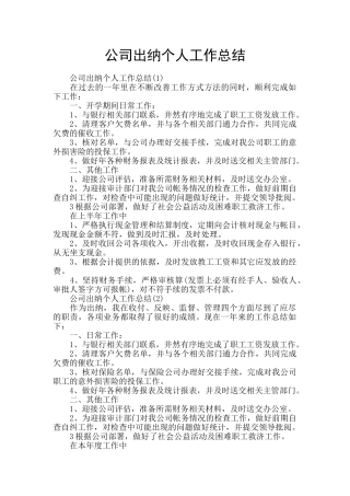 公司出纳个人工作总结