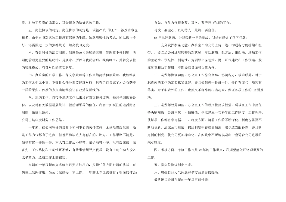 公司出纳年度财务工作总结_第2页