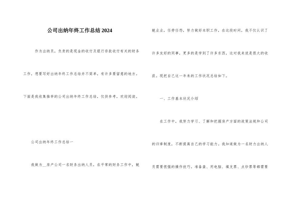 公司出纳年终工作总结2024_第1页