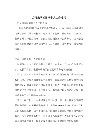 公司出纳试用期个人工作总结