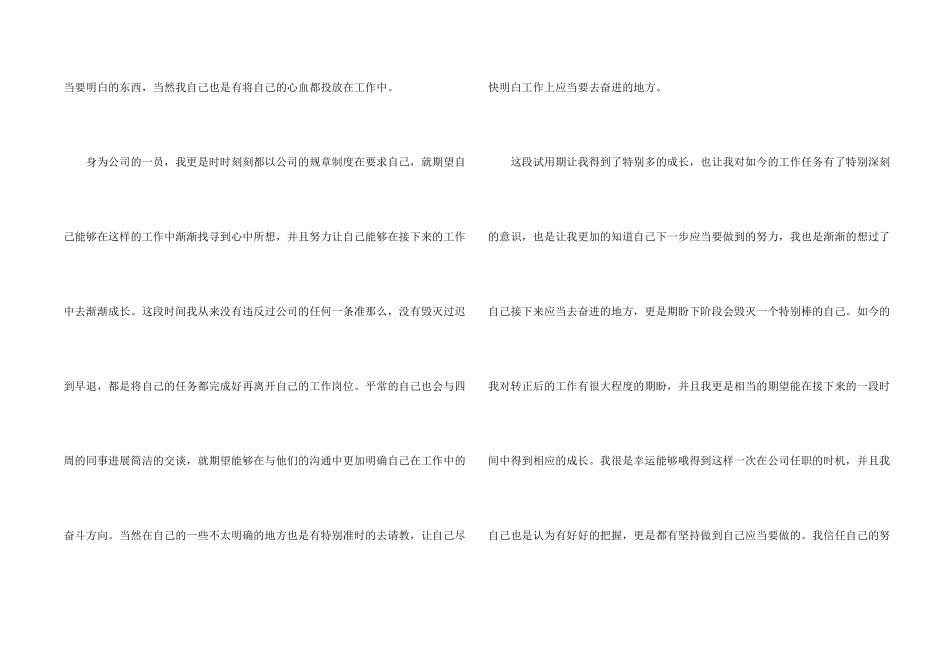 公司前台试用期工作总结集锦15篇_第2页