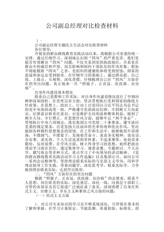 公司副总经理对照检查材料