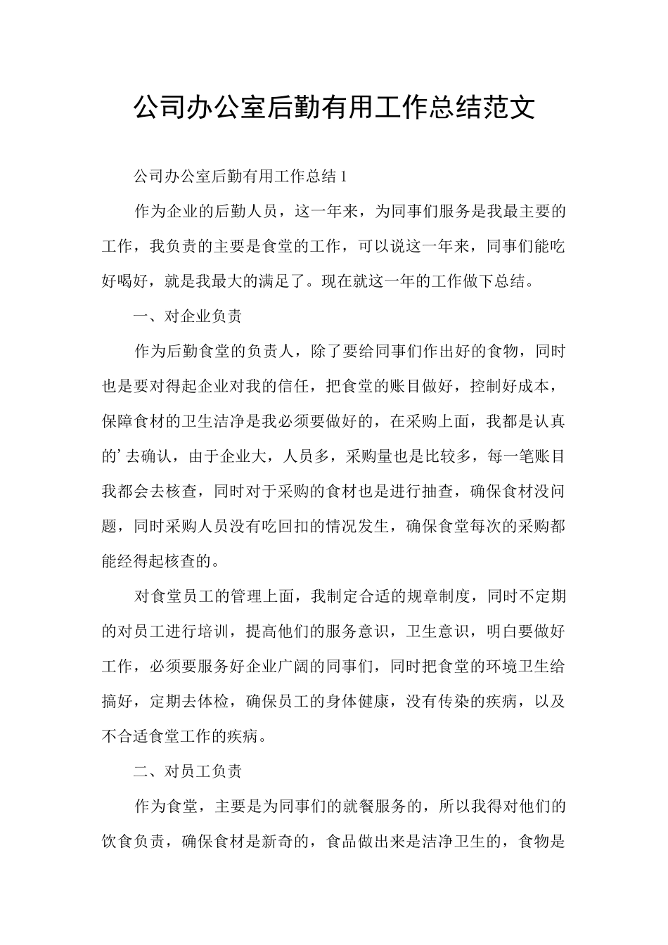 公司办公室后勤实用工作总结范文_第1页