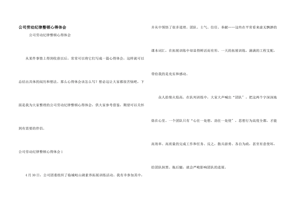 公司劳动纪律整顿心得体会_第1页