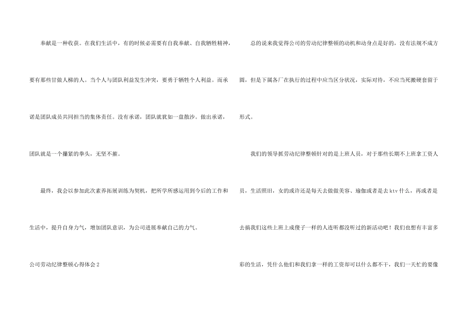 公司劳动纪律整顿心得体会_第3页
