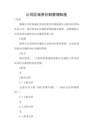 公司区域责任制管理制度